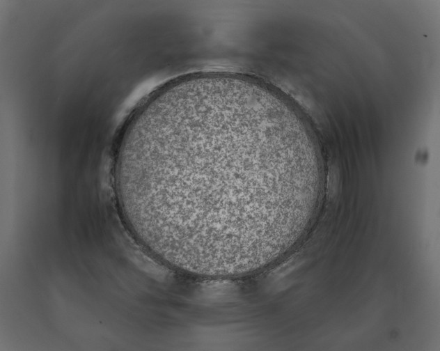 X0000090411454200708031031