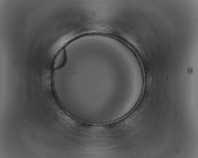 X0000090411455200708031031