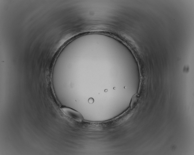 X0000090411457200708031031