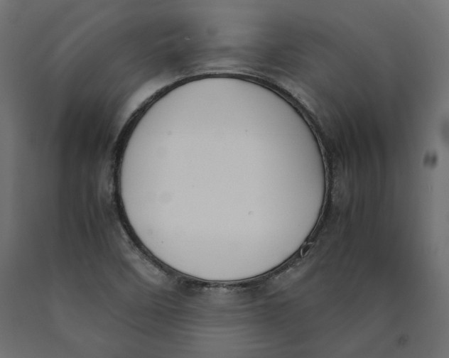 X0000090411458200708031031