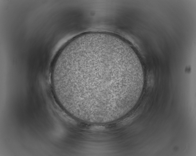 X0000090411462200708031031