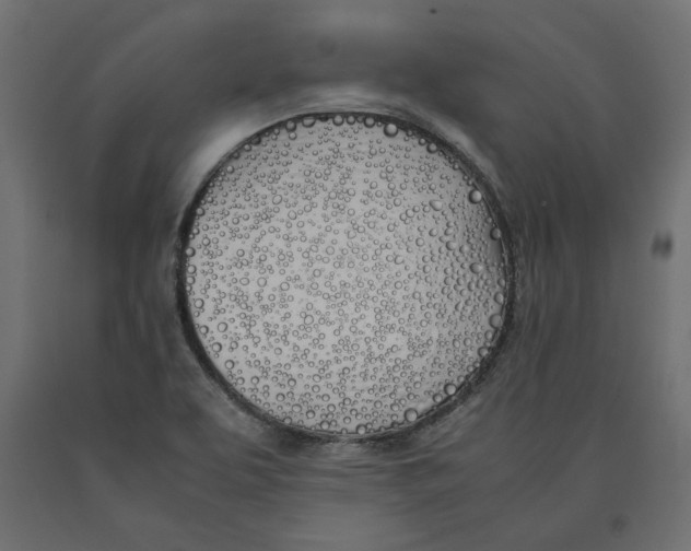 X0000090411463200708031031