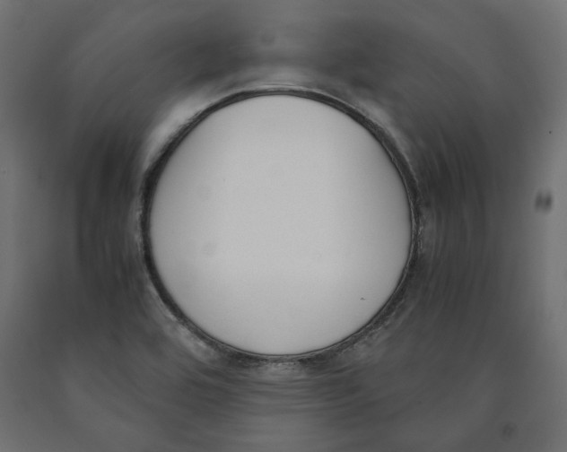X0000090411464200708031031