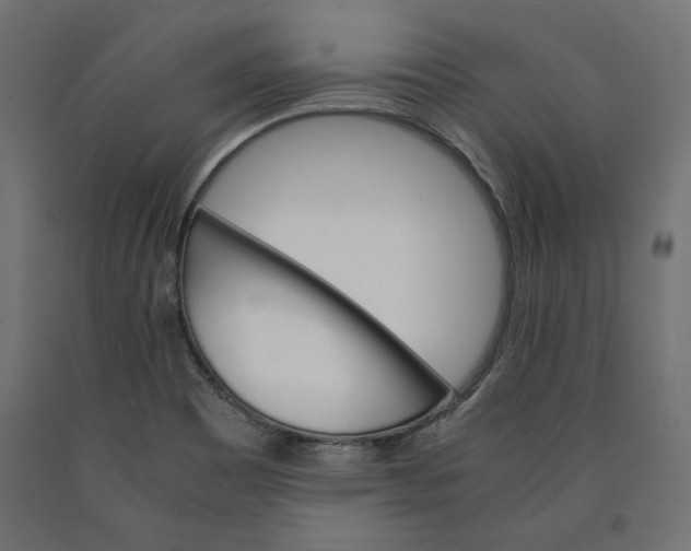 X0000090411465200708031031