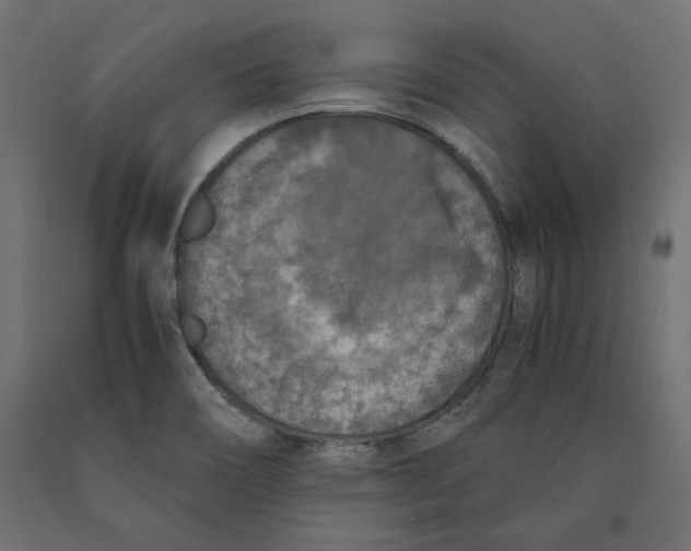 X0000090411466200708031031
