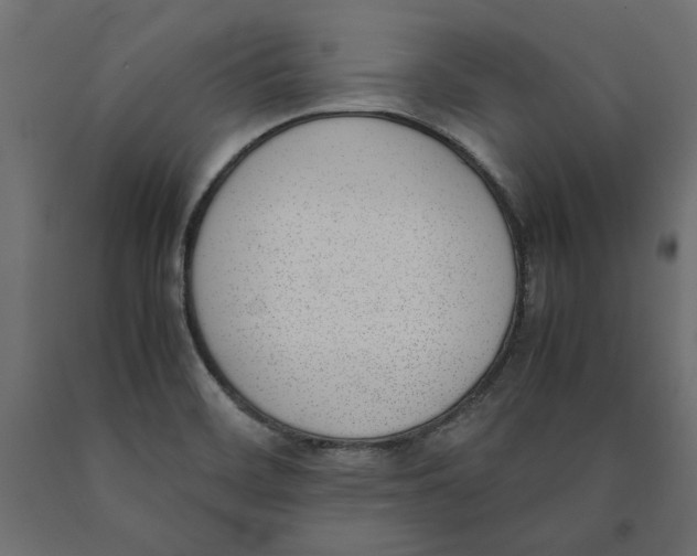 X0000090411468200708031031