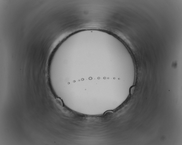 X0000090411469200708031031