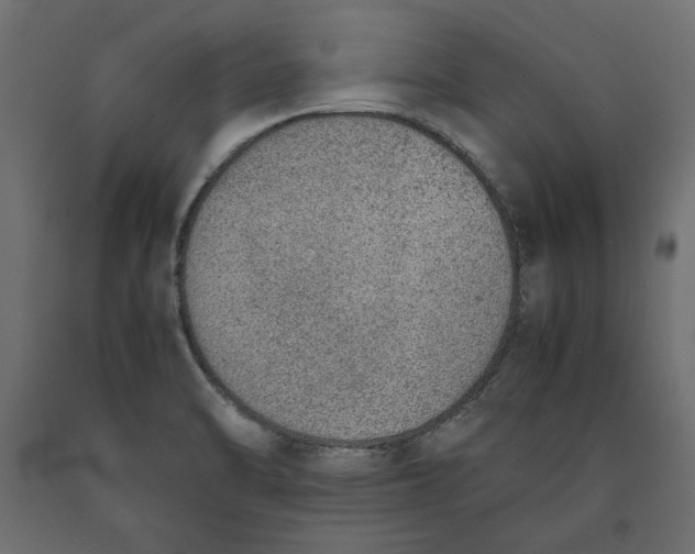 X0000090411470200708031031