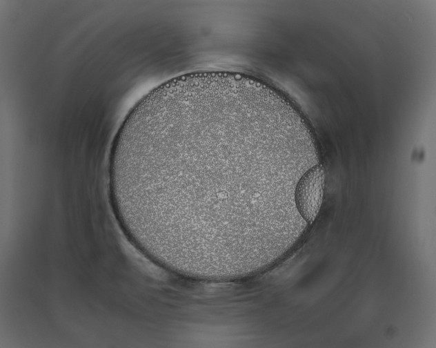 X0000090411471200708031031