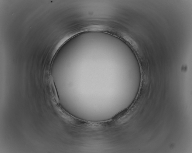 X0000090411473200708031031