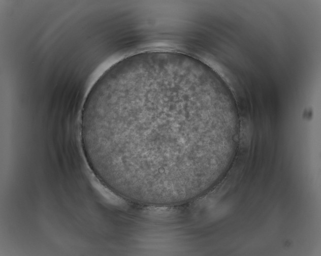 X0000090411474200708031031