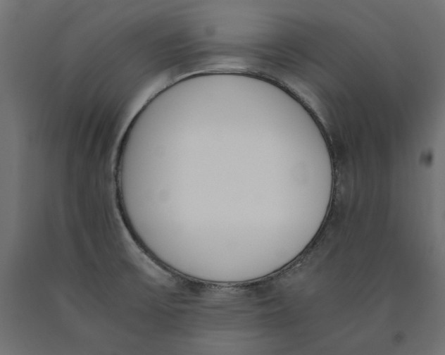 X0000090411475200708031031