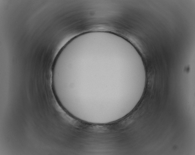 X0000090411476200708031031