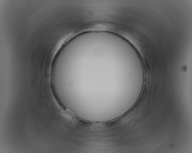 X0000090411477200708031031