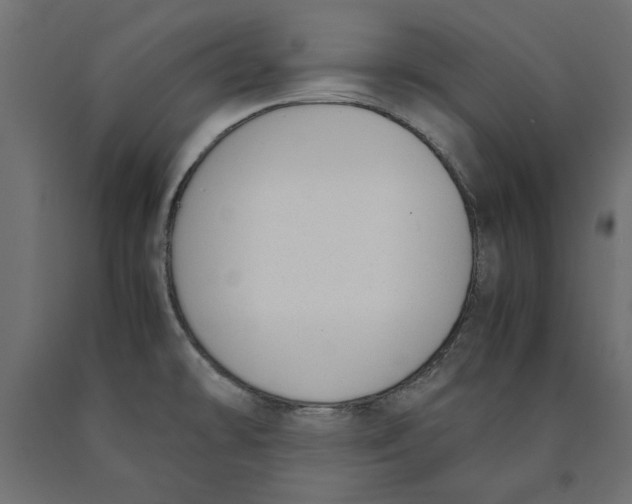 X0000090411478200708031031