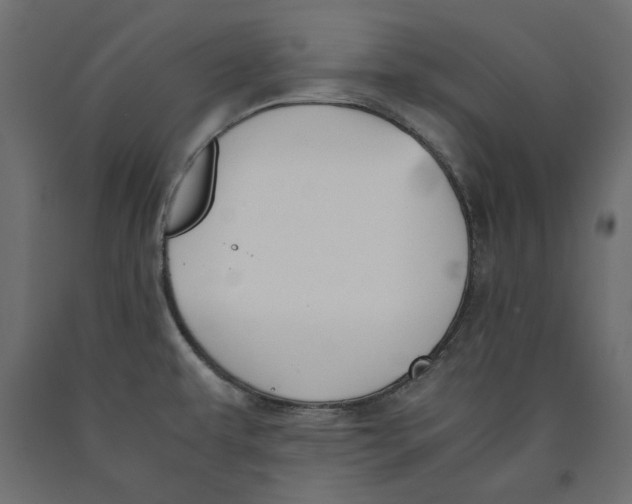 X0000090411479200708031031