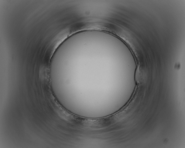 X0000090411481200708031031