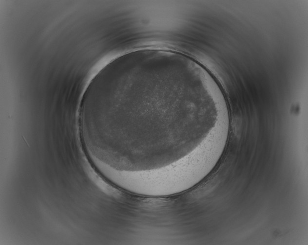 X0000090411482200708031031