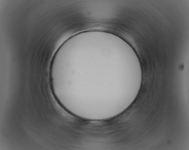 X0000090411483200708031031