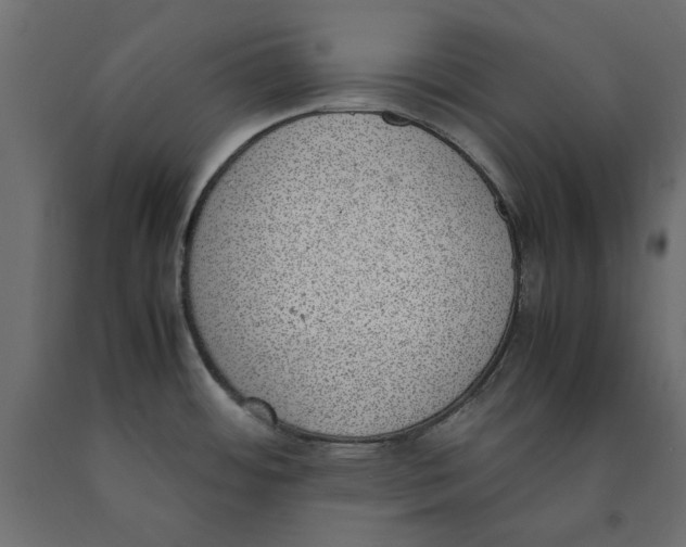 X0000090411484200708031031