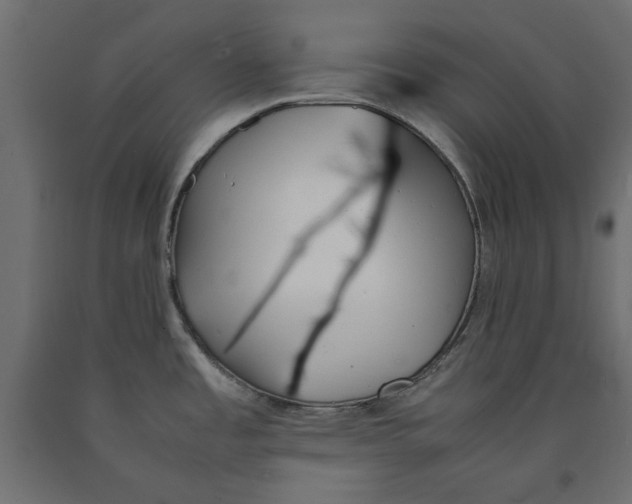 X0000090411485200708031031