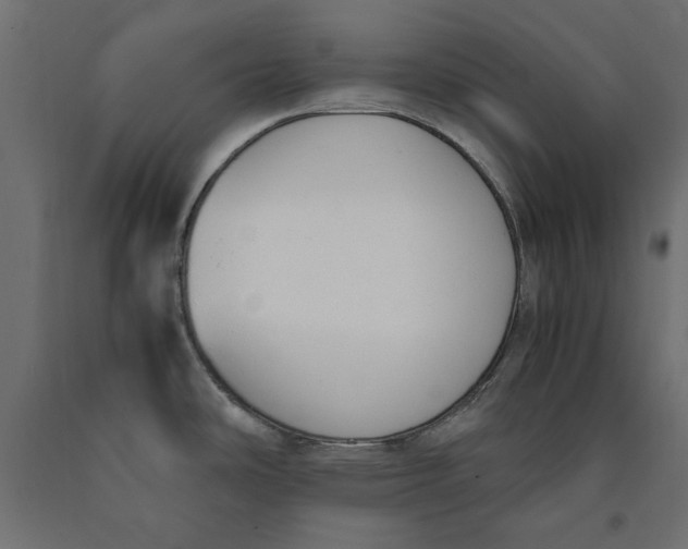 X0000090411486200708031031