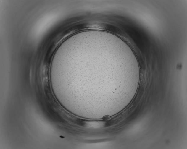 X0000090411487200708031031