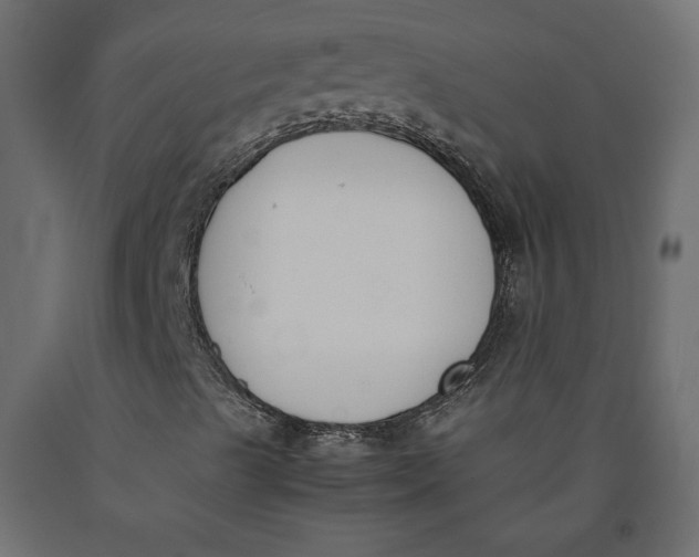 X0000090411489200708031030