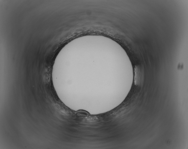 X0000090411491200708031030