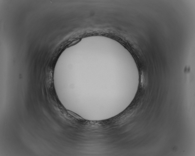 X0000090411492200708031030