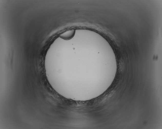 X0000090411494200708031030