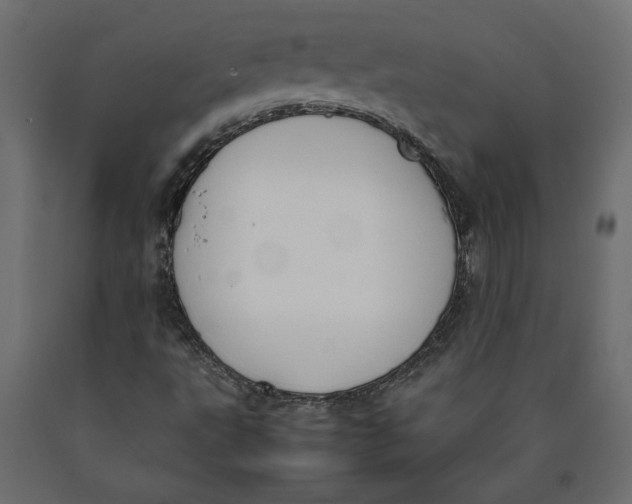 X0000090411495200708031030