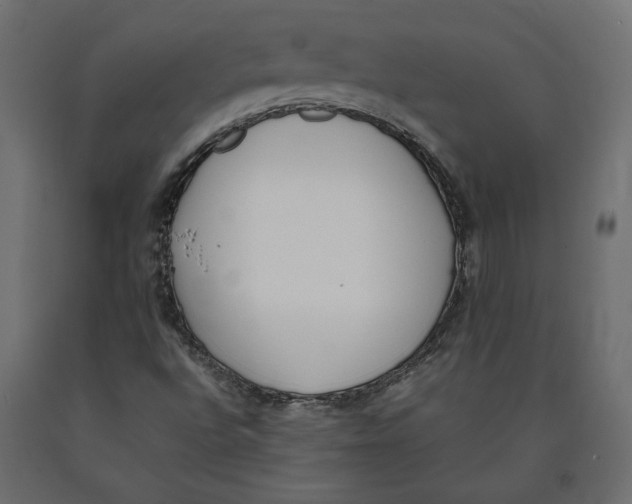 X0000090411496200708031030