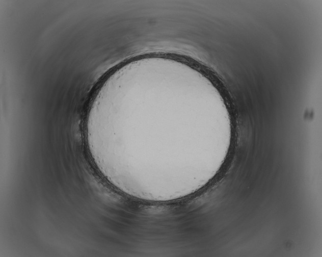 X0000090411497200708031030