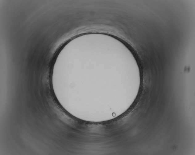X0000090411498200708031030
