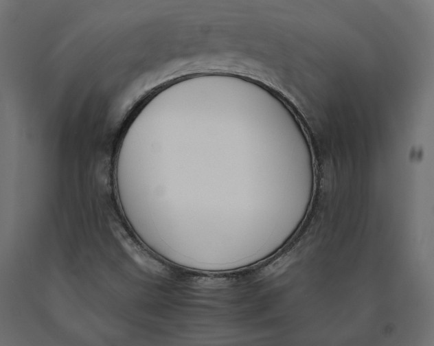 X0000090411499200708031030