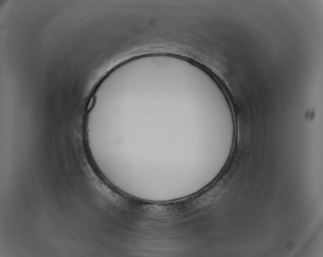 X0000090411500200708031030
