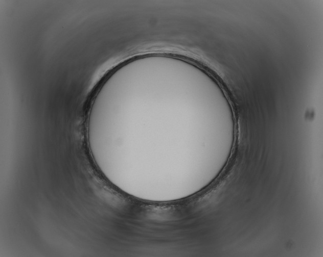 X0000090411501200708031030