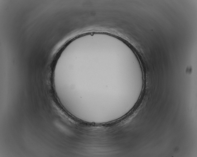 X0000090411502200708031030