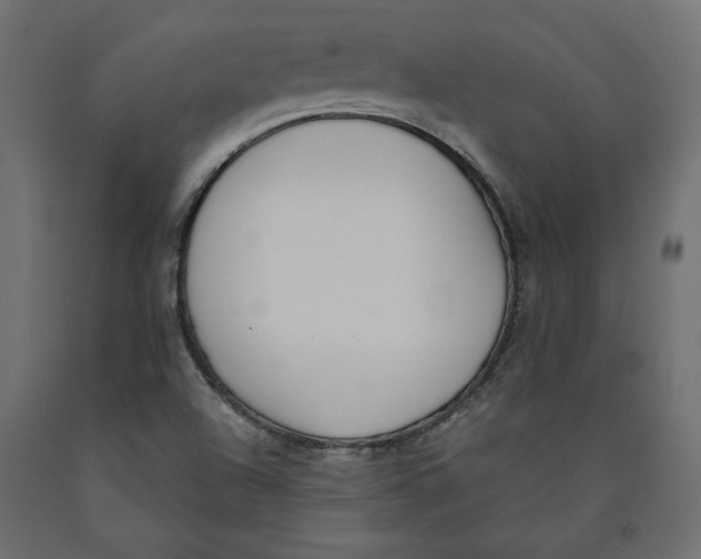 X0000090411504200708031030