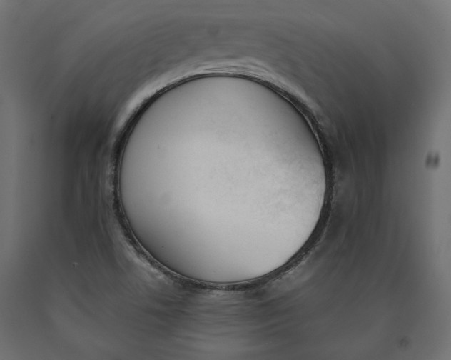 X0000090411506200708031030