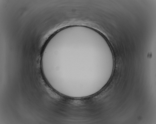 X0000090411507200708031030