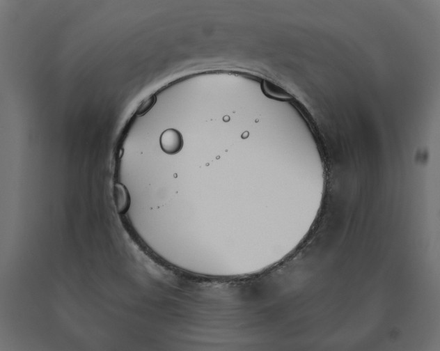 X0000090411508200708031030