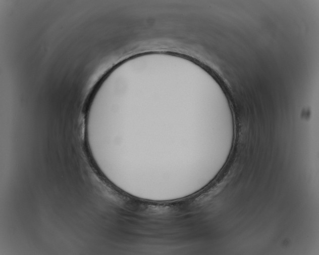 X0000090411509200708031030