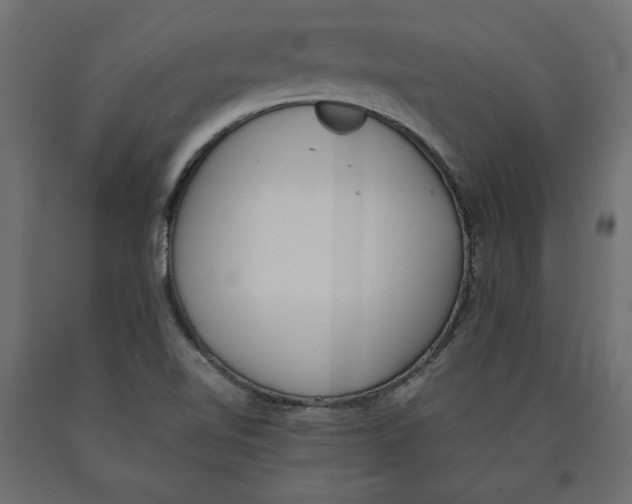 X0000090411510200708031030