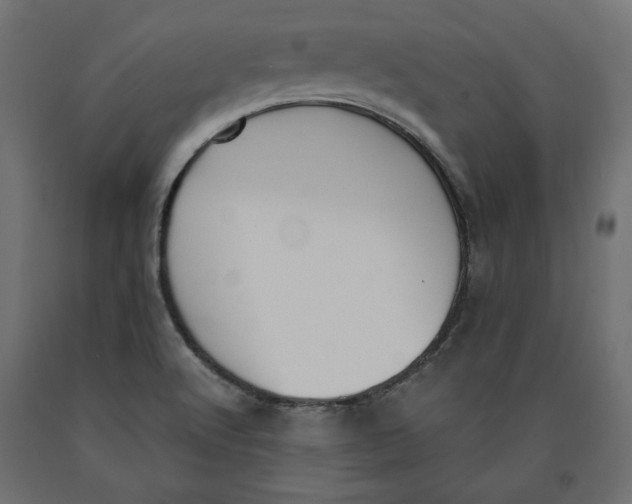 X0000090411512200708031030