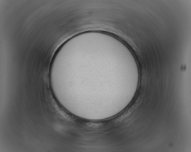 X0000090411513200708031030