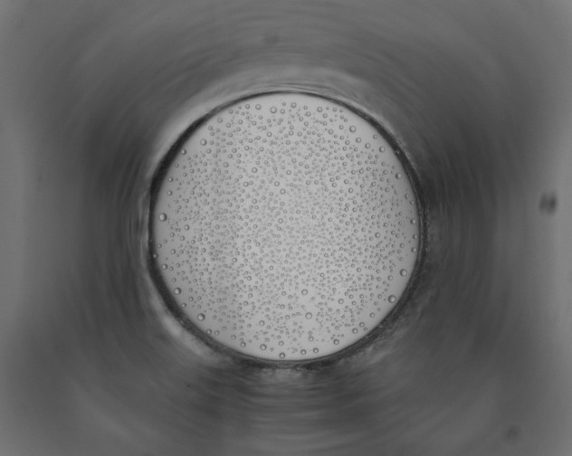 X0000090411515200708031030