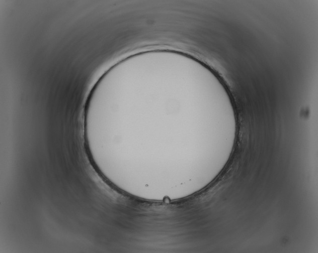 X0000090411516200708031030