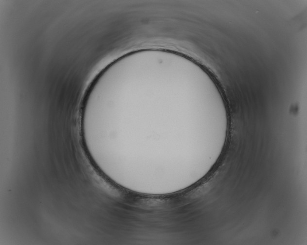 X0000090411517200708031030